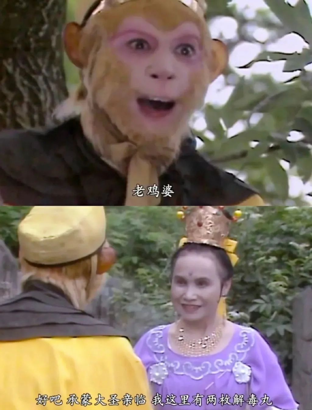 社恐人真的很羡慕孙悟空的人脉，都哥们儿！