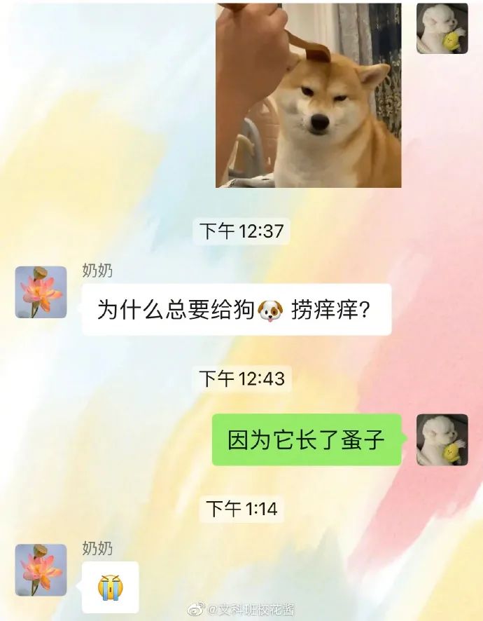 羡慕死这样的家庭氛围，这个奶奶好可爱哦