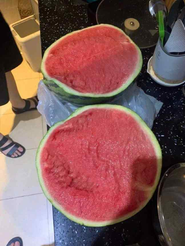 这瓜是来报恩的吧，那我真的会谢